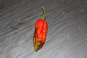 naga morich