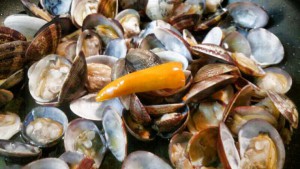 zuppetta di vongole