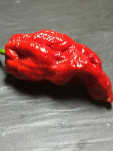 bhut jolokia assam