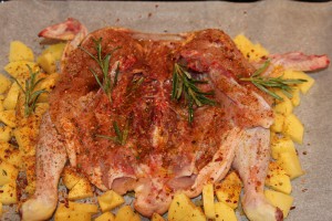 pollo alla diavola