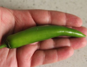 peperoncino spagna guindilla