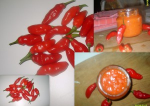 crema di naga morich