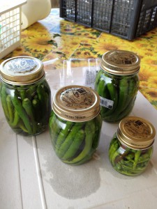 conservare peperoncini sottaceto