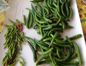 conservare peperoncini sottaceto