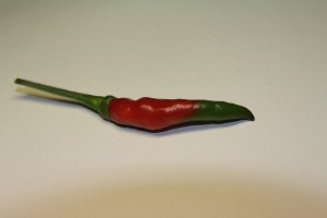 acrata peperoncino