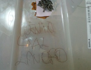 growbox genio al lavoro Savino Bisceglia