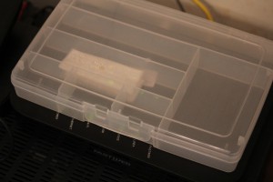 germinazione seme su modem router