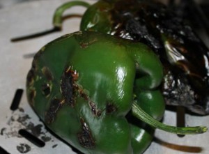 preparare chiles rellenos
