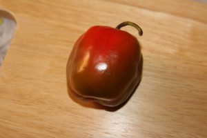 rocoto red