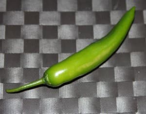 guindilla peperoncino