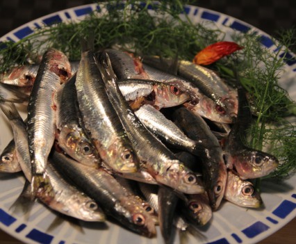 ingredienti pasta con le sarde