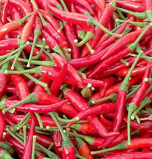peperoncino thai dragon