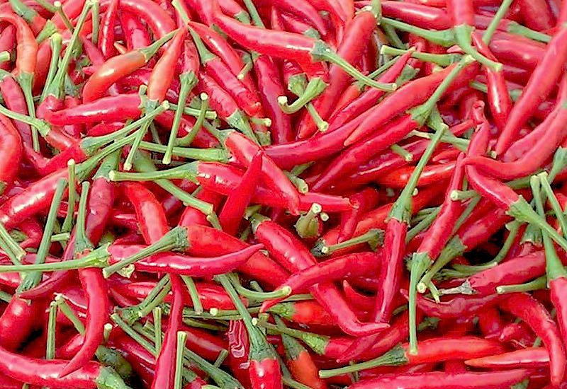 peperoncino thai dragon
