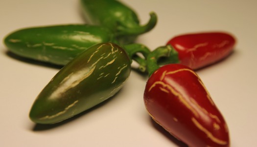 Jalapeno