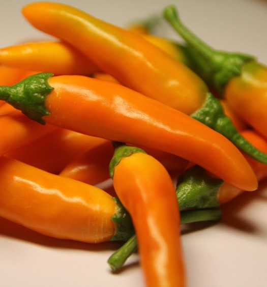 bulgarian carrot