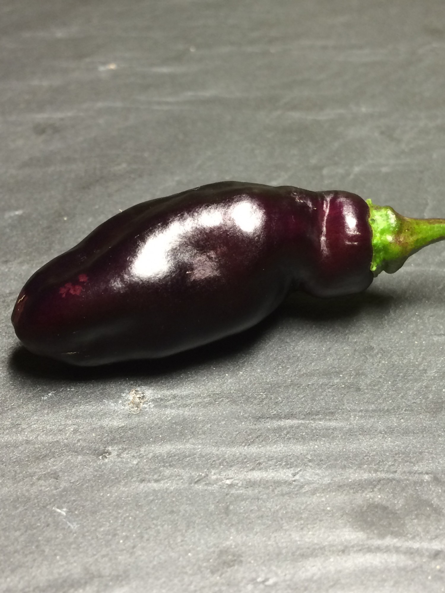 pimenta de neyde