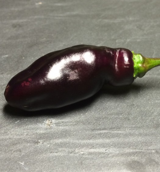 pimenta de neyde
