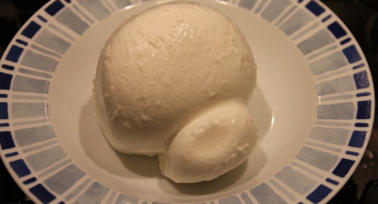 mozzarella