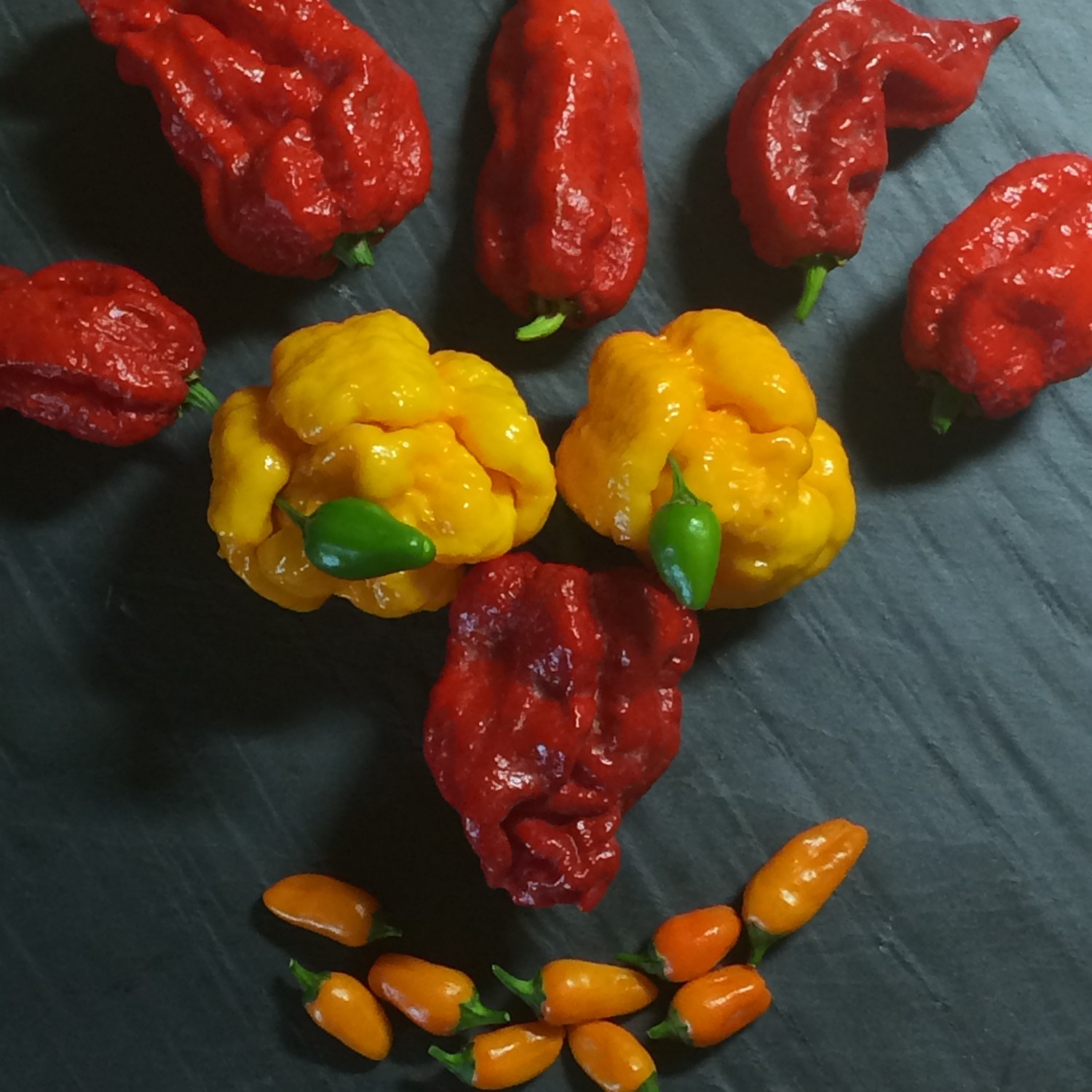 PeperonciniPiccanti