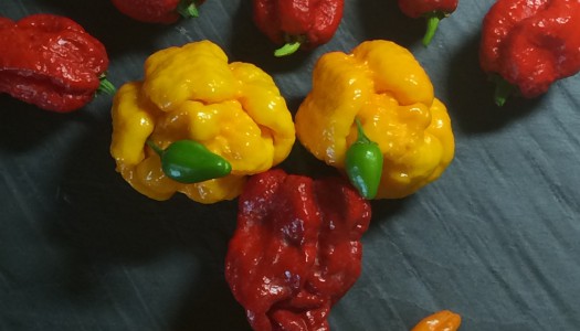 Effetti Benefici del Peperoncino