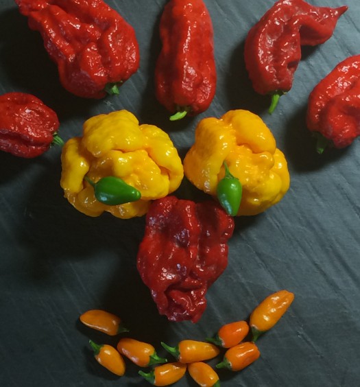 PeperonciniPiccanti
