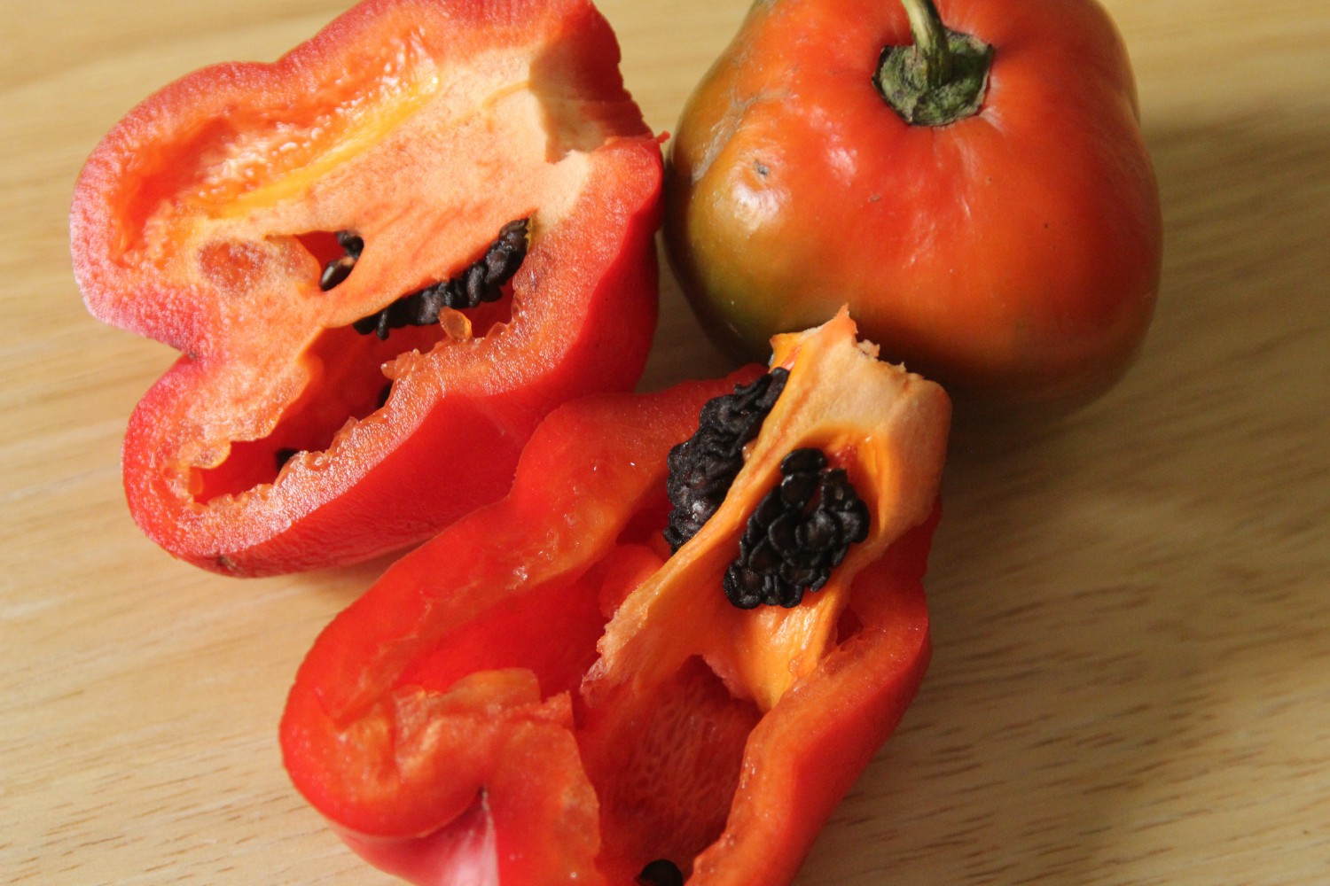 peperoncino rocoto