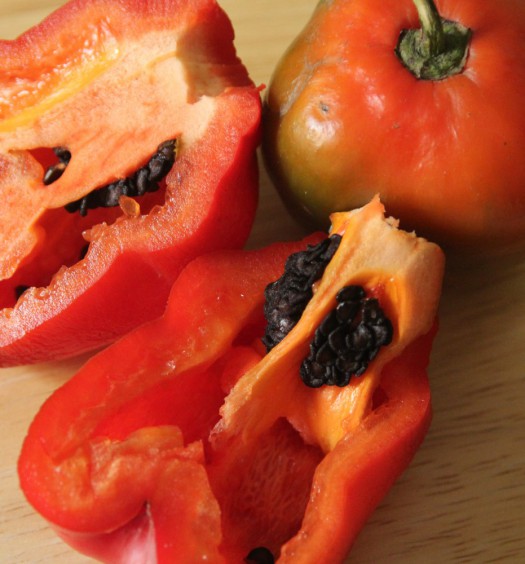 peperoncino rocoto