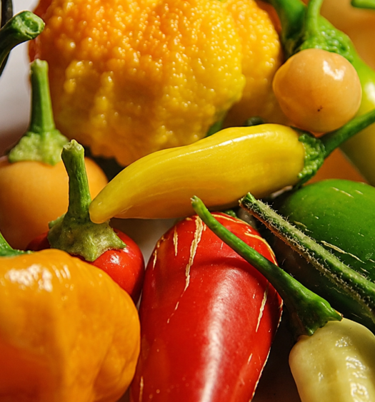 peperoncini colorati concimazione