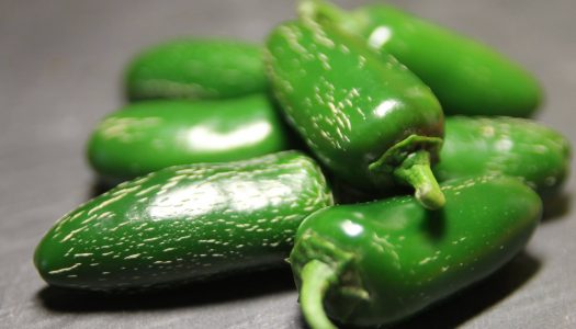 Jalapeno Early